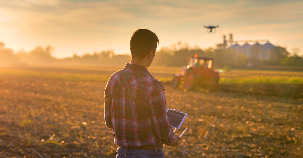 Fondo Innovazione agricoltura: fondo perduto per le PMI - Credit Team