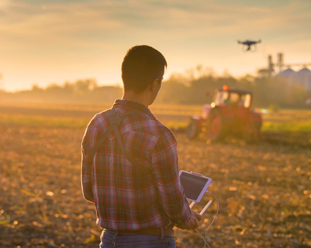 Fondo Innovazione agricoltura: fondo perduto per le PMI