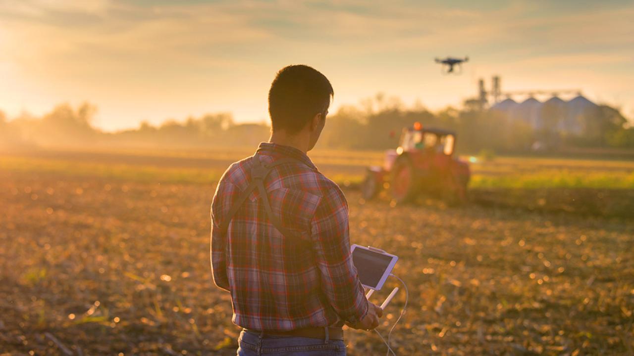 Fondo Innovazione agricoltura: fondo perduto per le PMI