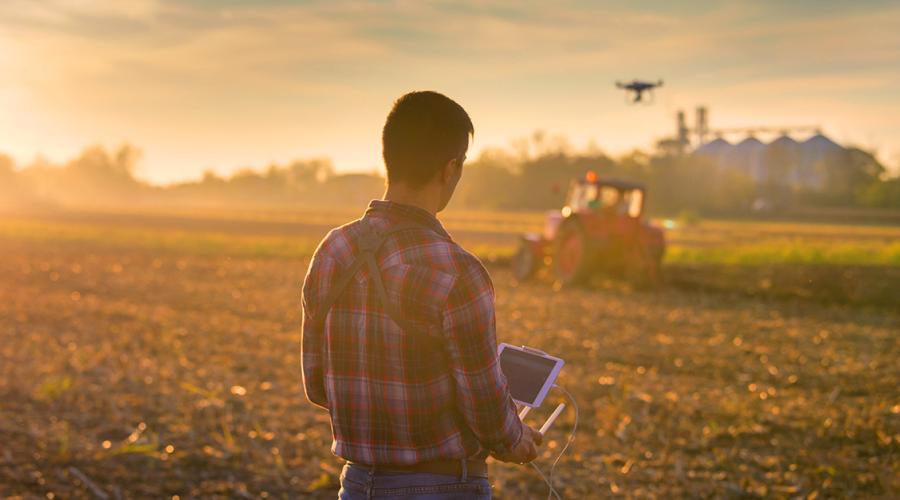 Fondo Innovazione agricoltura: fondo perduto per le PMI
